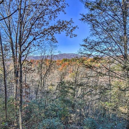 Natures Retreat With Hot Tub 7 Mi To Bryson City Whittier Exteriér fotografie